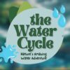 The Water Cycle Natures Amazing Water Adventure
